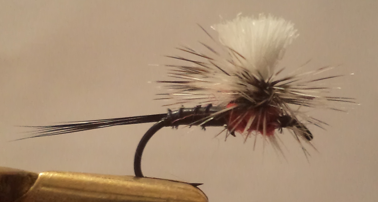 ППП вариант