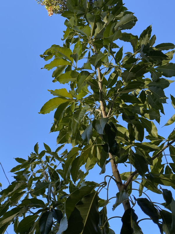 4C86277D-4CEA-418E-B759-FF6854769DC3