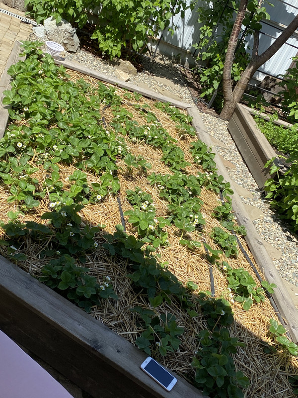 18FD9D75-9538-4FE8-B073-E291608B7FA8