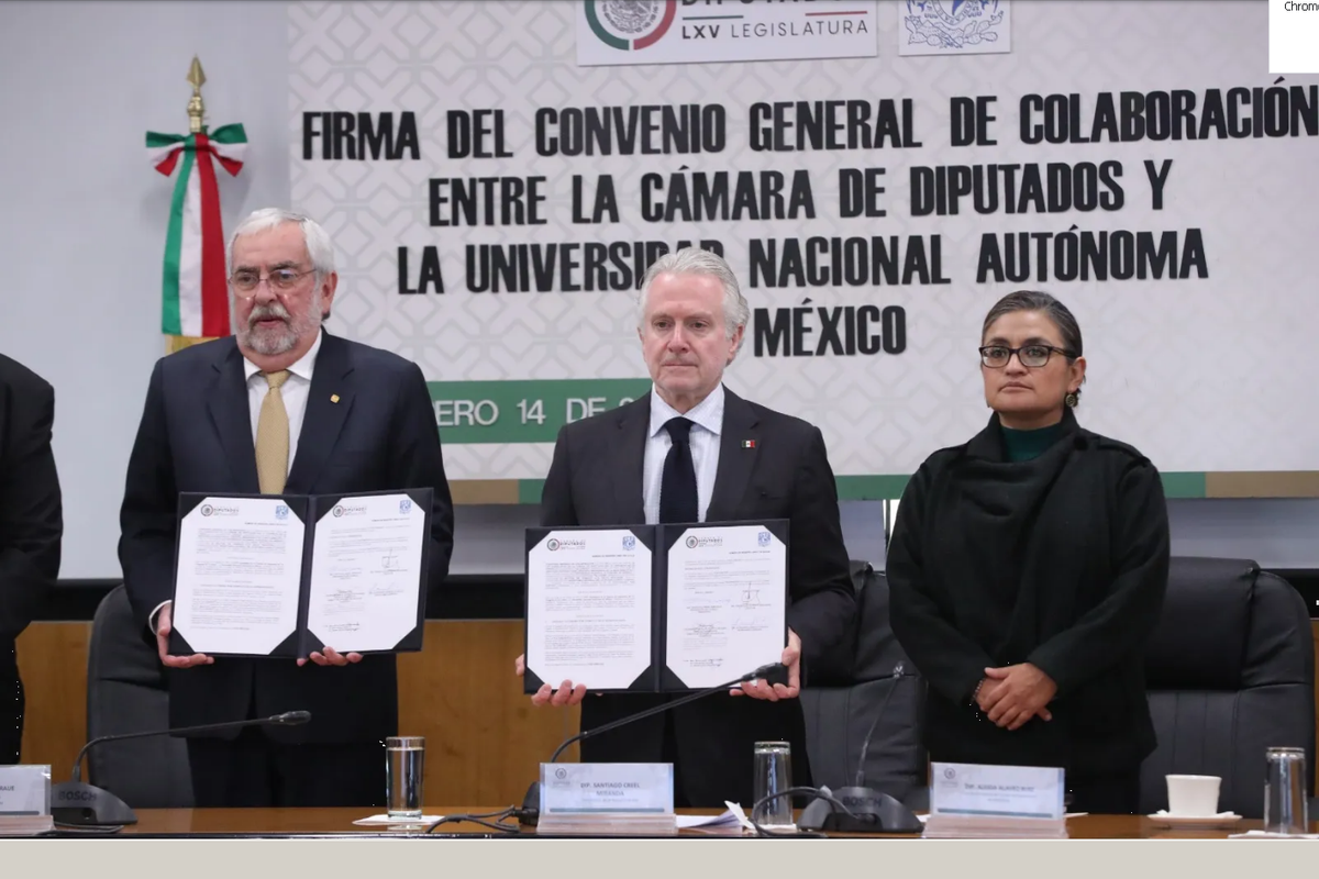 Plagio en la UNAM: en ausencia, ministra Esquivel se defiende ante Comité de Ética