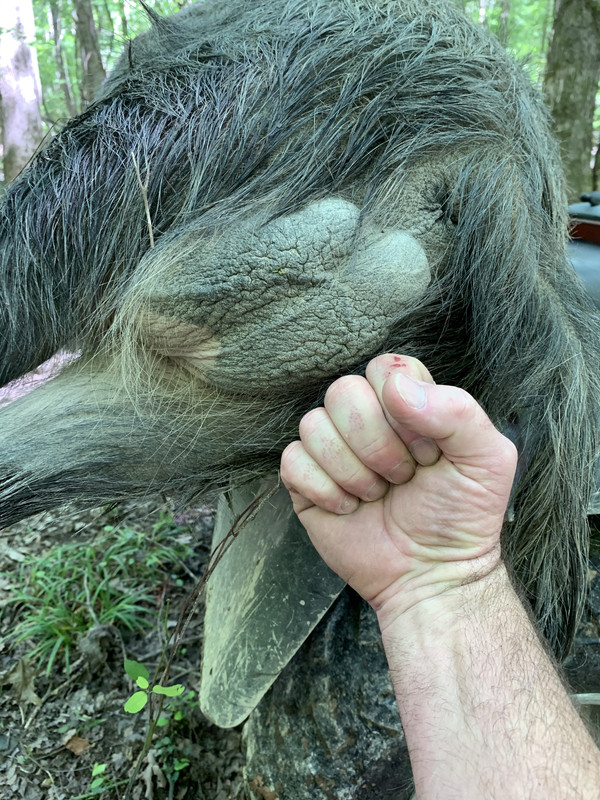 1B050BA3-948E-41D6-8B7D-E5472D1C00AE