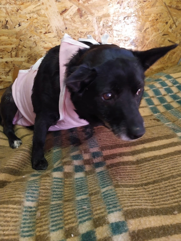 A980BF2F-F7F2-449F-BB8B-CE682979F6A5