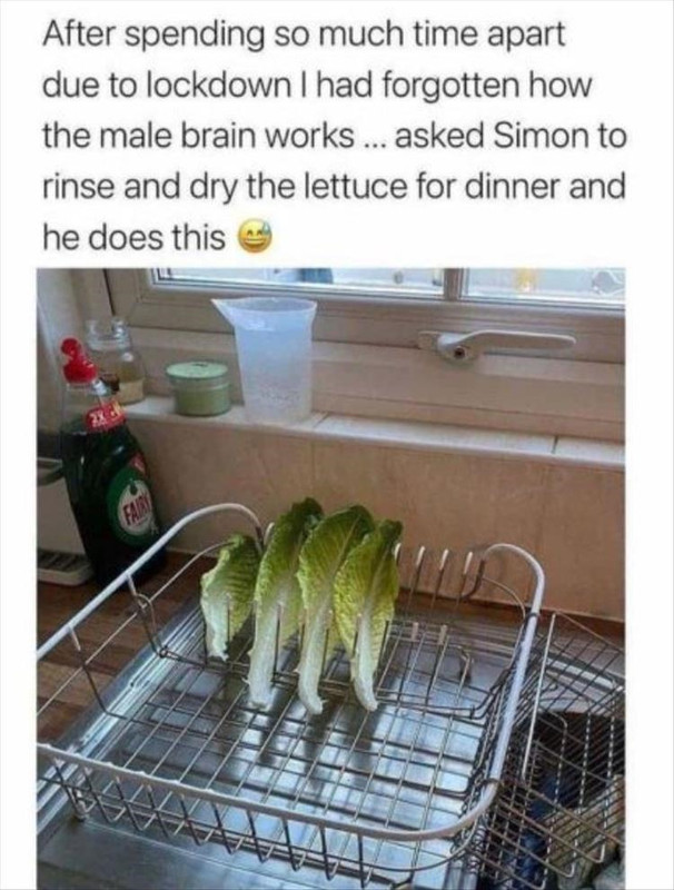 asked-to-rinse-the-lettuce.jpg