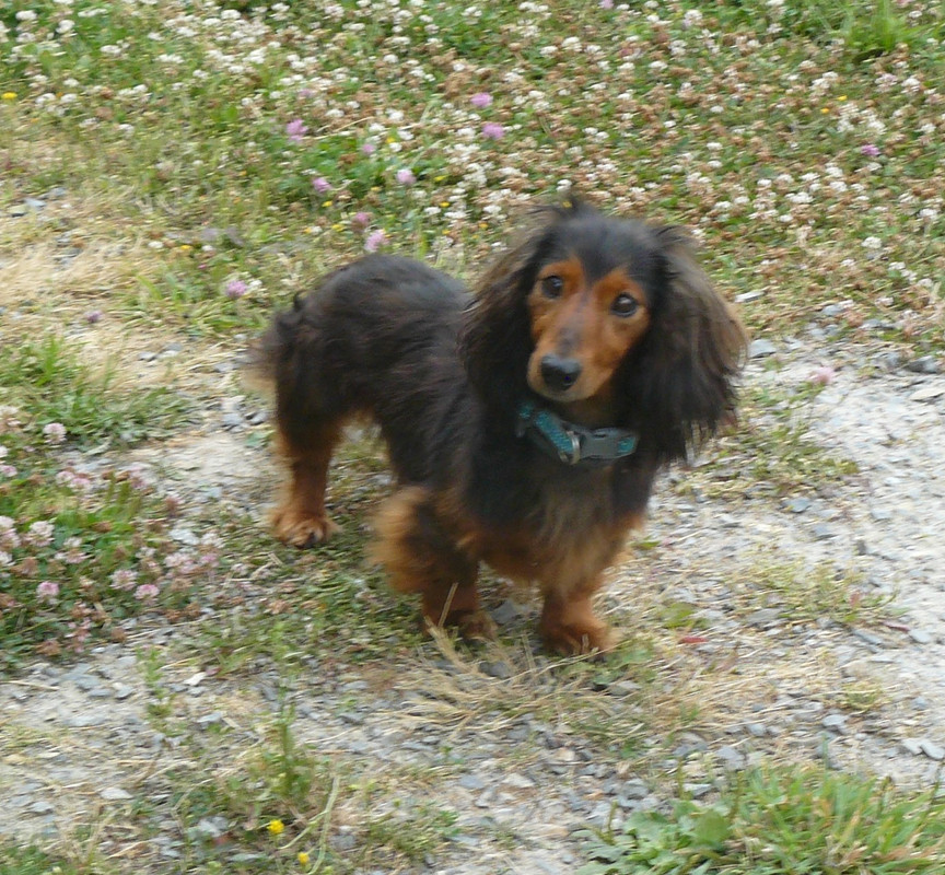 [Image: P1240387.jpg]