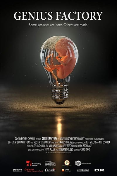 genius-factory-2017-1080p-webrip-x264-ko