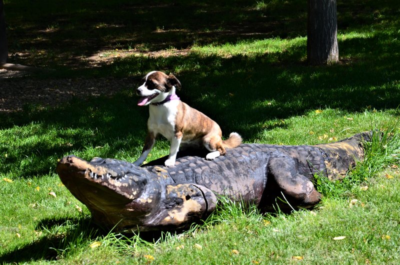 PARQUE EUROPA-2010/2015/2021-MADRID - Paseando por España-1991/2017 (9)