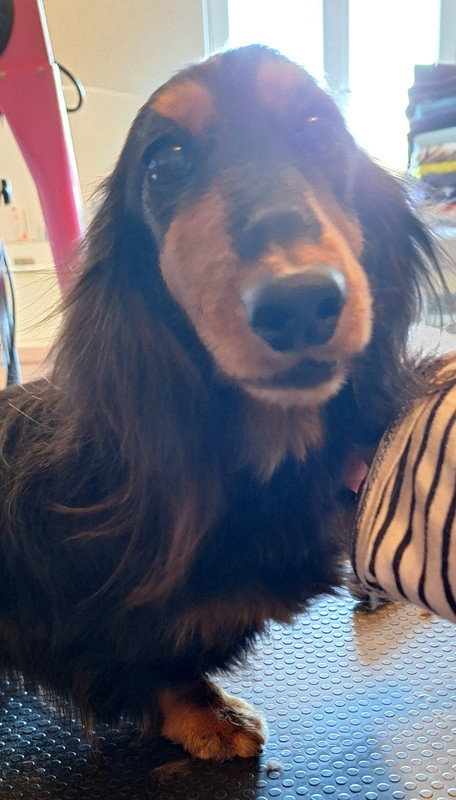 [Image: 20250305-161001.jpg]