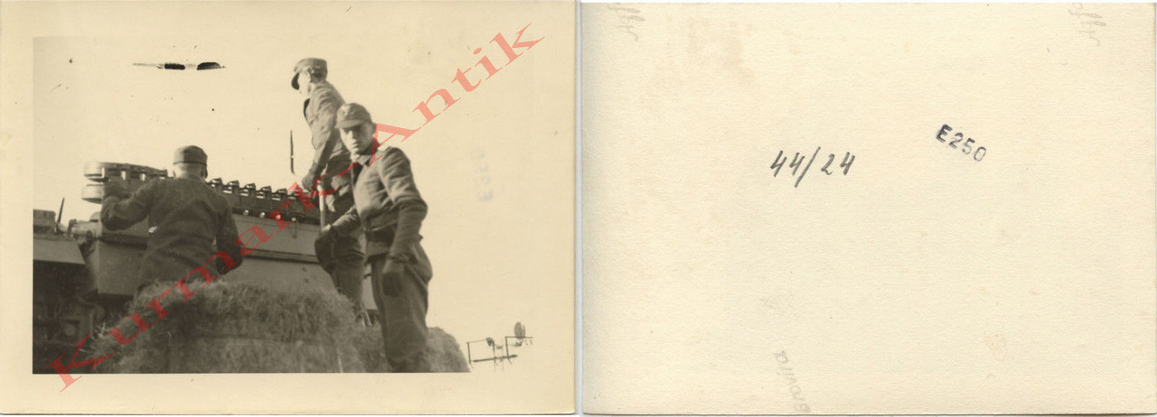 6 авиаполевая дивизия Люфтваффе........