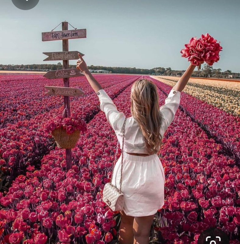 Screenshot_20230527_225848_Pinterest