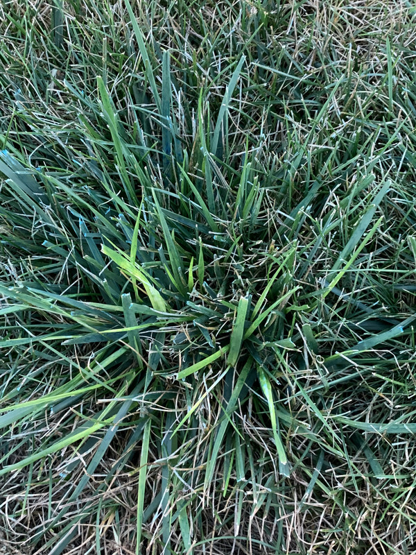 589567D2-4401-4CFA-9840-4C384EB26F60