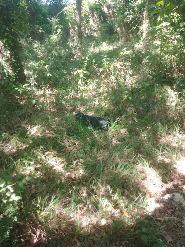 [Image: IMG-20220724-145614.jpg]