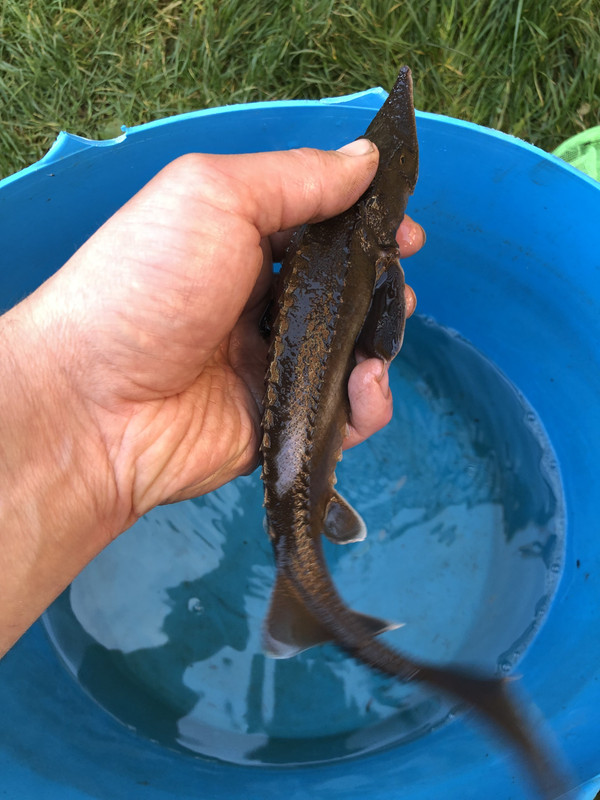 C4F18A29-B2E3-4F3F-9B3D-6D841F6FEE20