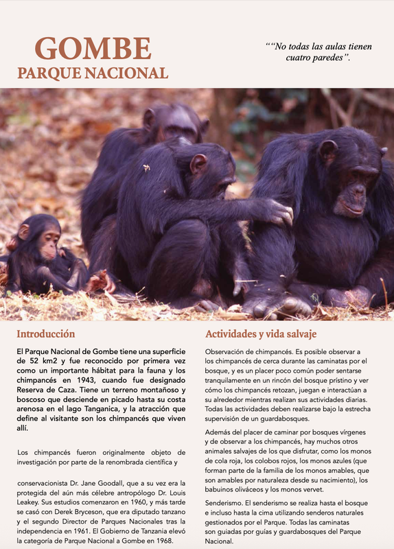 Gombe N.P. (Chimpancés) - Parques de Tanzania - Foro África del Este