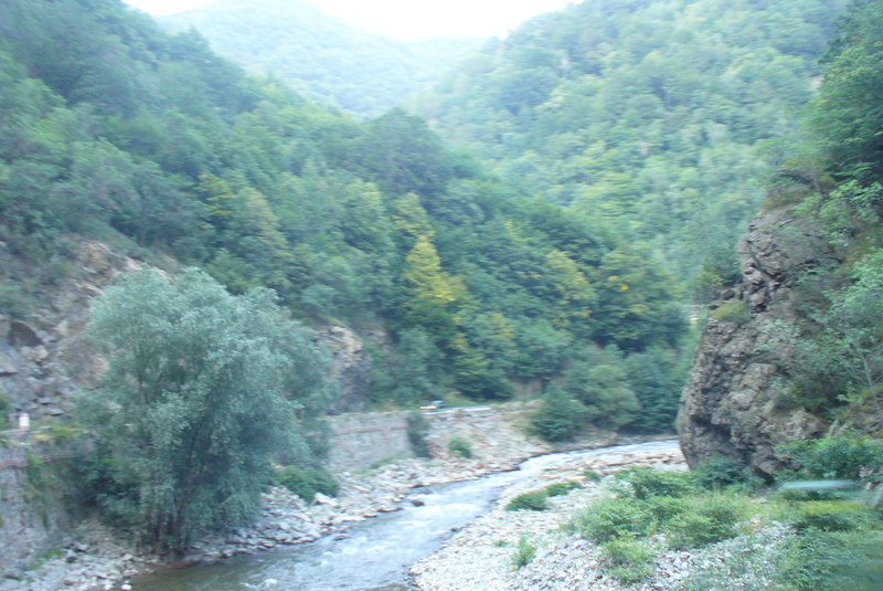[Obrazek: P1240595.jpg]