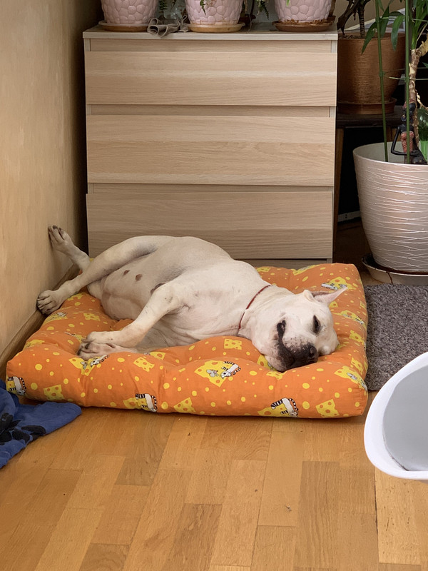 DA8F8A1C-B00A-4536-9EC3-7CDDACEB1968