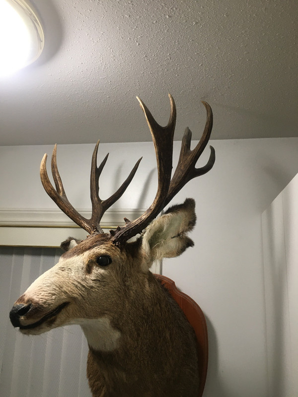 18F7A0D3-E3E8-4313-8738-F3F9792FB412