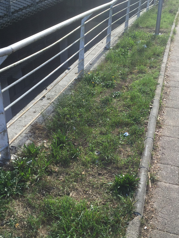 7454243C-6626-4186-B452-6D09DA904818