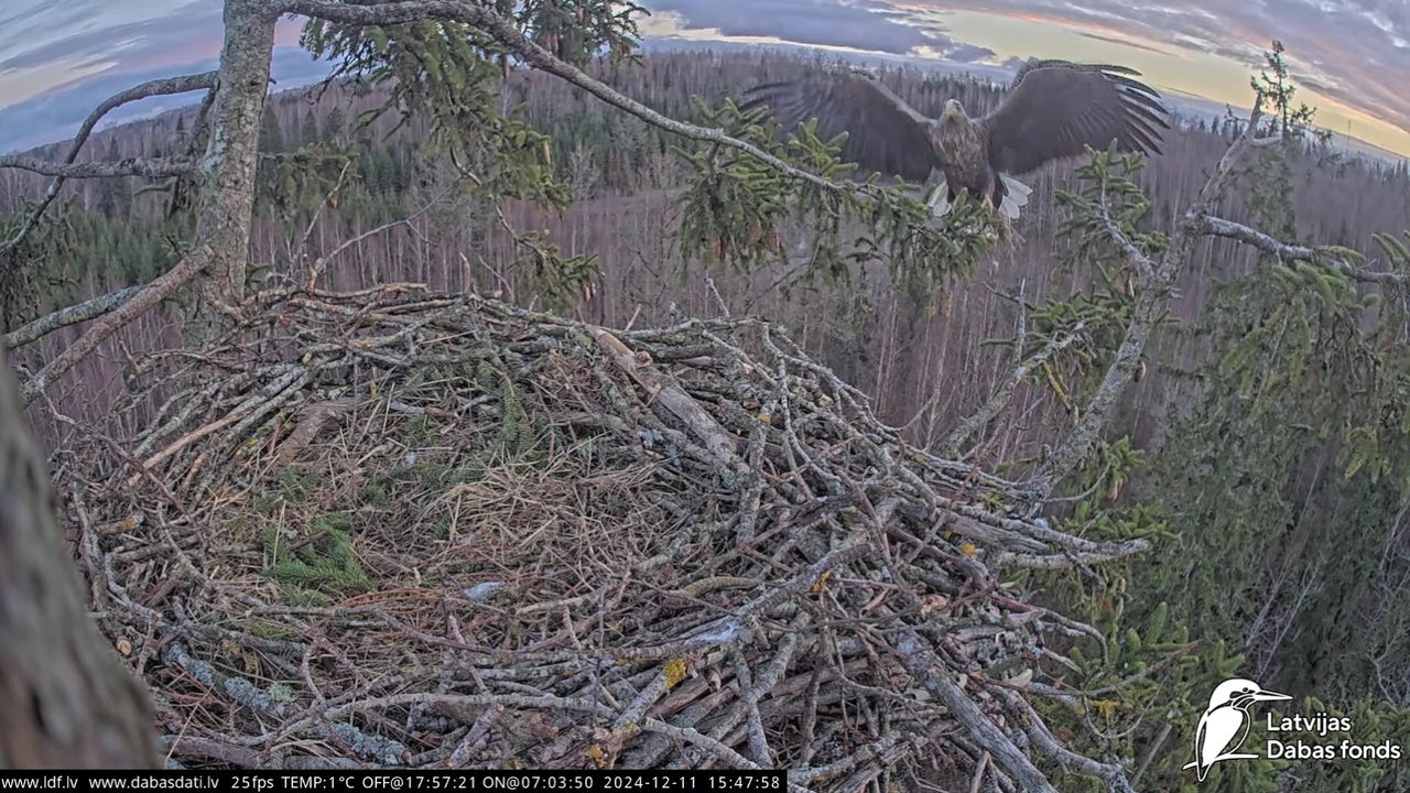 Screenshot (113543) - Copy