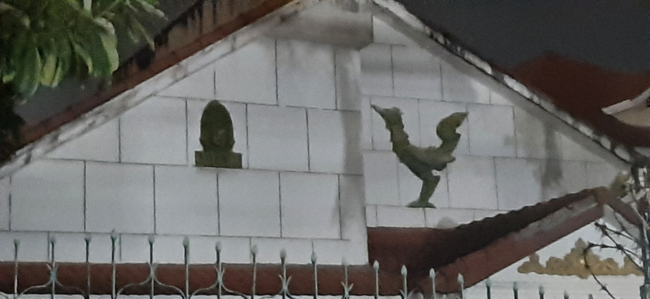 bird