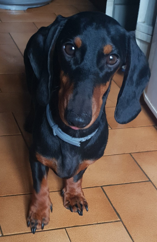 [Image: 20200909-155908.jpg]