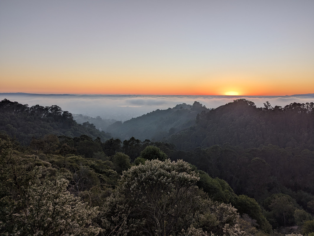 PXL_20251008_014420989