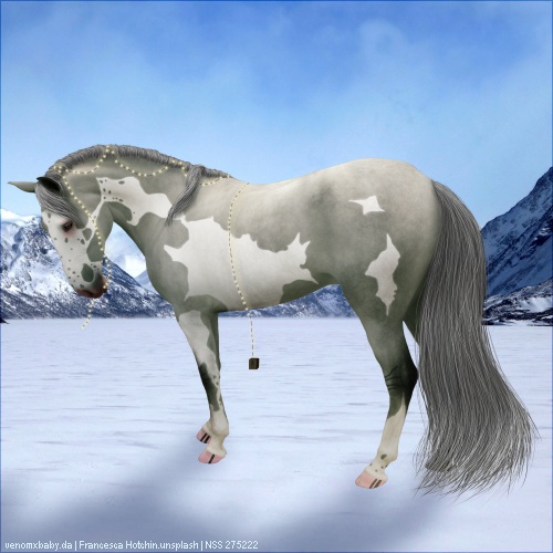 hazelnut-creek-horse-avatar.jpg