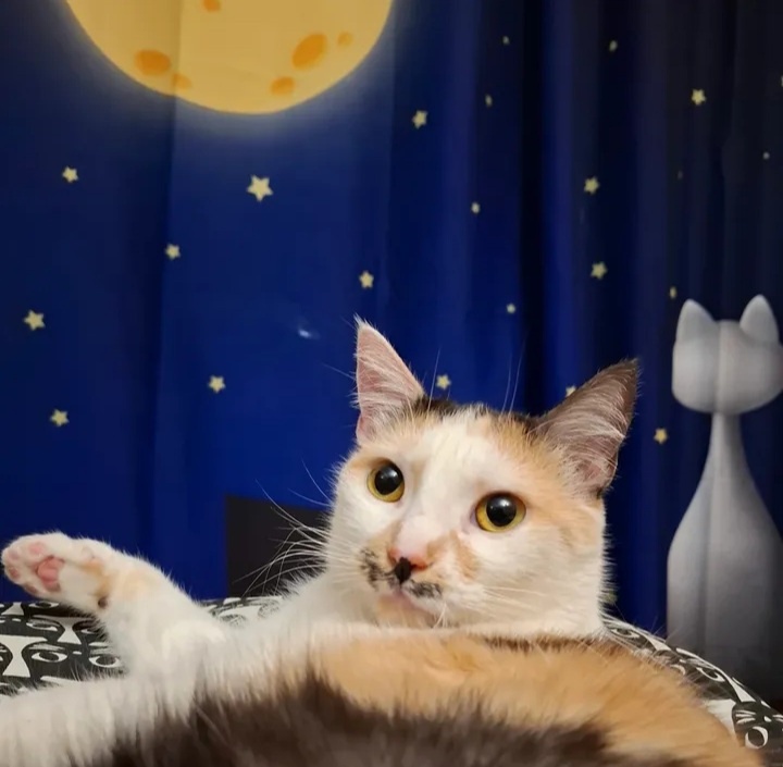 9hCSr4SCjxhvwuYoL5ropMTjc_x7y12TVVSHx5I-n0YA327IgMdGPqxSygZUGJJ3kq60b3Mco4oB0BwjDyZS4G0C