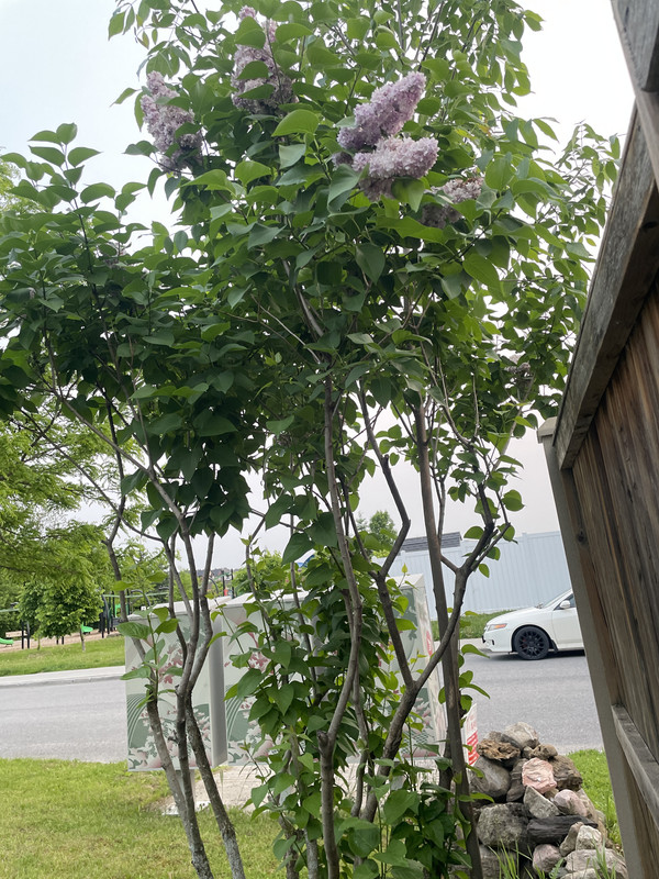 C2F2A8C8-951C-4C68-8CE9-1A5DBB742AD0