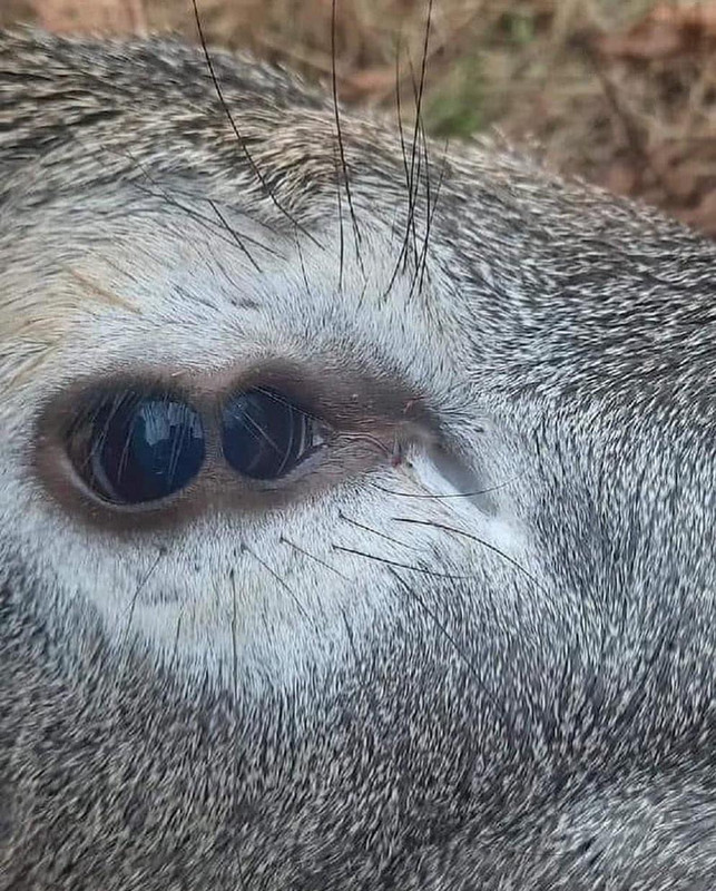 5BF31CD8-5378-44A9-874F-9BD148D19BF5