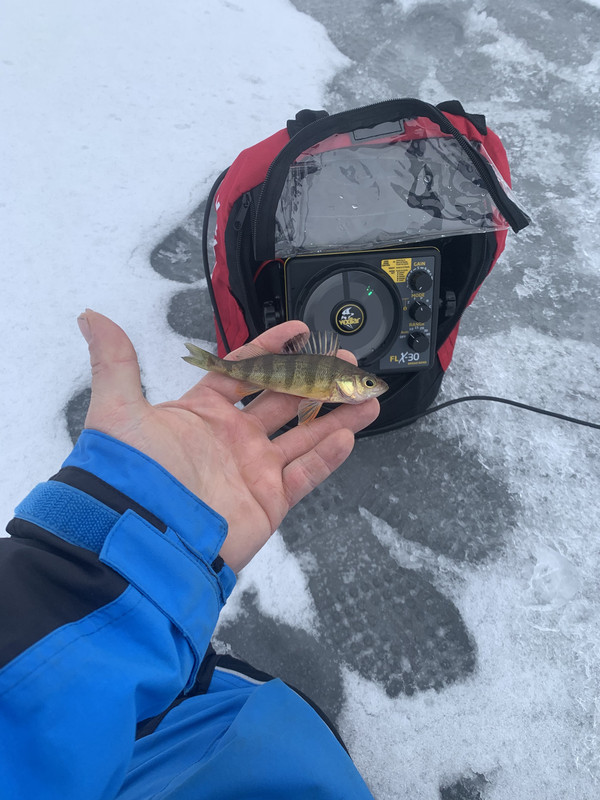 943B0DF4-EDB0-434D-9658-E8FEDE0E5843