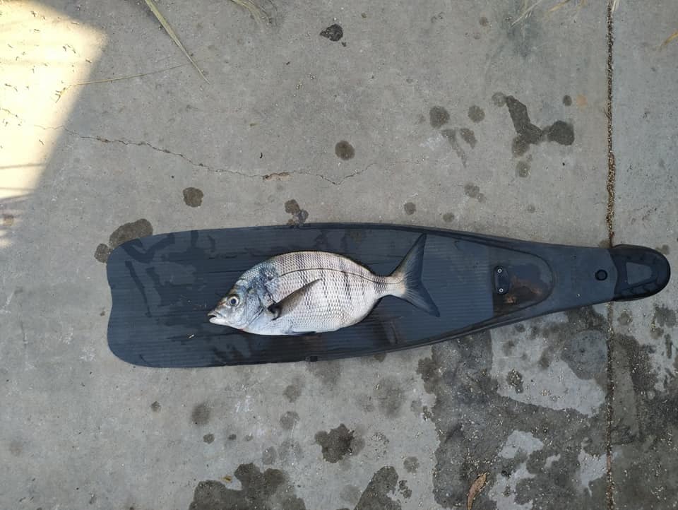 293019435_10226319241983651_8226221741744699939_n