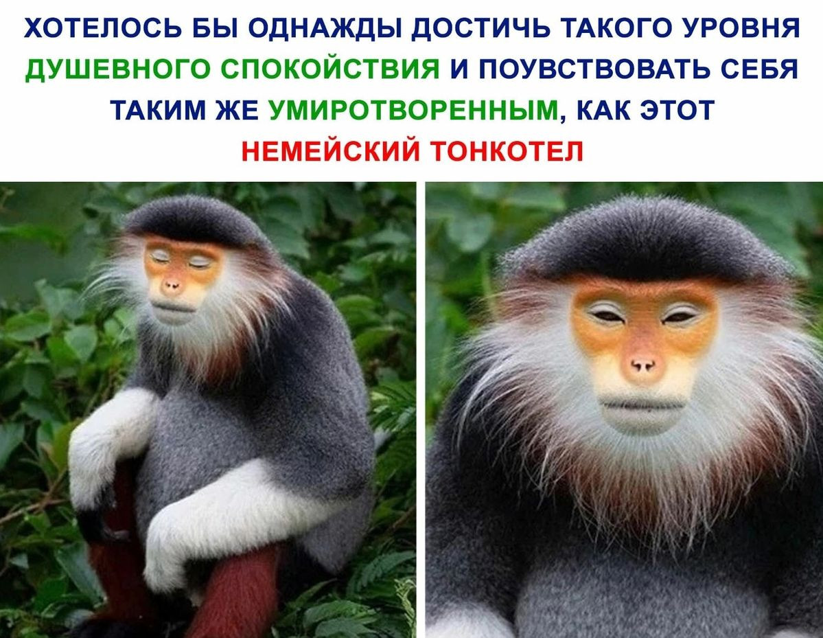 [Изображение: 3193fc2f142aa80a75417af3a144e759.jpg]