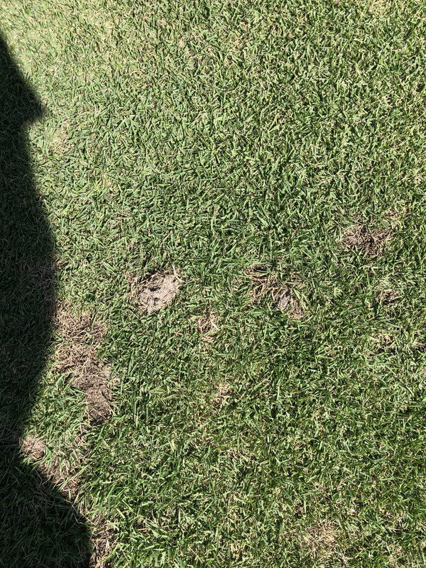 5398E188-051E-4CCF-A74C-E123933AF7DE