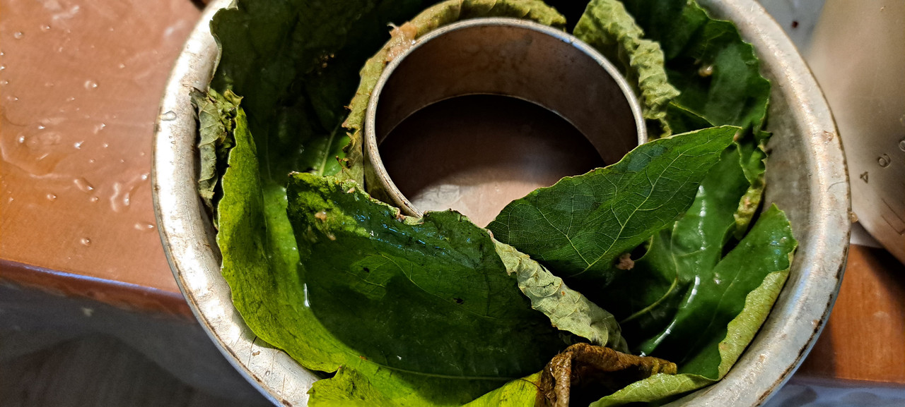 [Image: VEG-BROODPUDDING-BANAAN-SPECULAAS-VIJGBLAD.jpg]