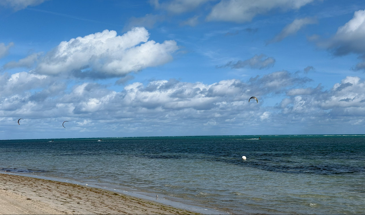 [Image: Crandon-Beach-On-Key-Biscayne5.png]