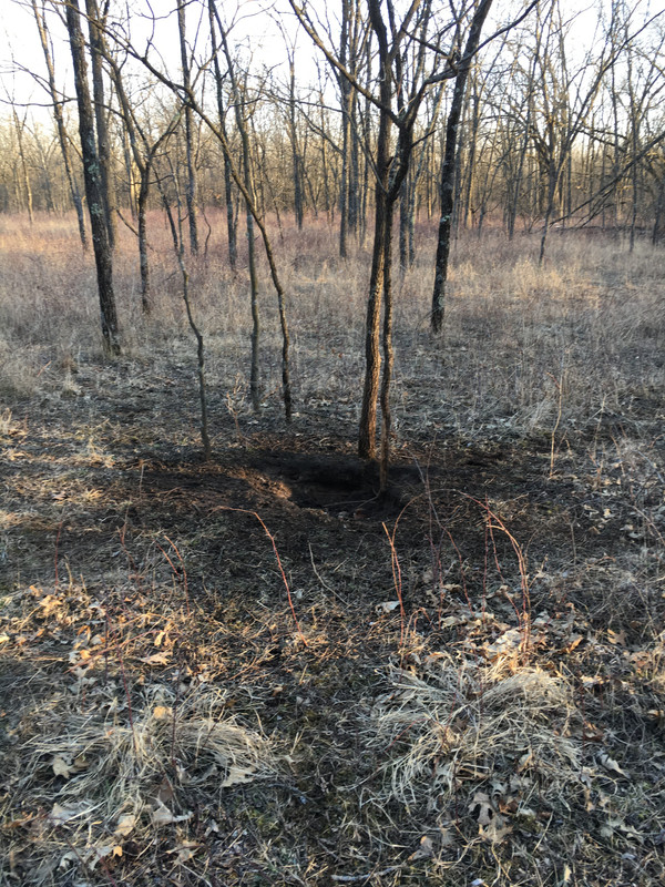 1F122653-334C-4D3F-AAB9-CCC66E5D3421