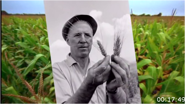 [Image: a4xfxd1y8wi1.png]