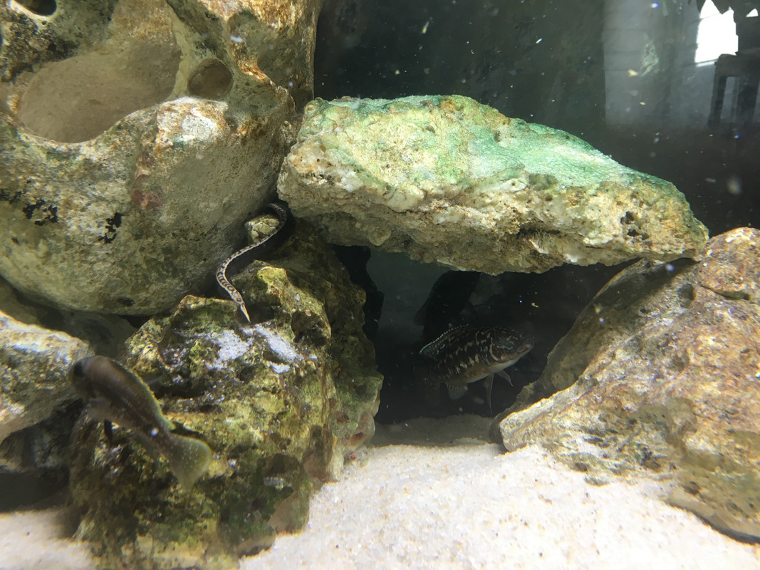 F970AEEB-892E-4DCE-B262-39E789C5ADF1