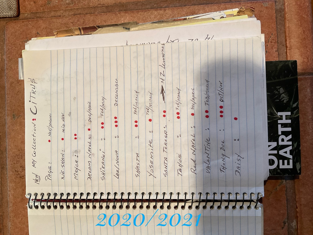 8486C7D7-3244-4F5C-A926-847DD29B0869