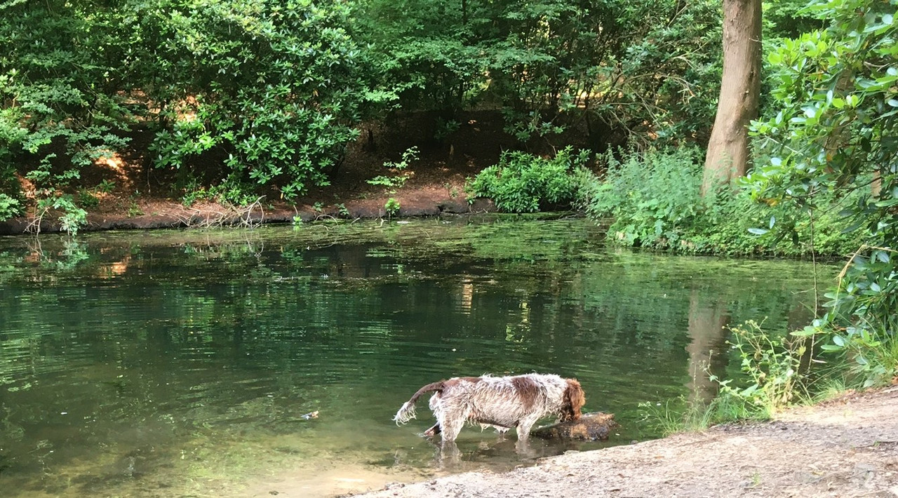 2024-18-07 Claire in het water 2 IMG_3875 (002)
