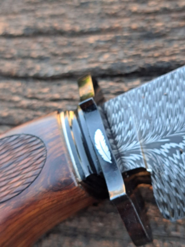 WhatsApp Image 2024-11-05 at 20.21.07 (1)