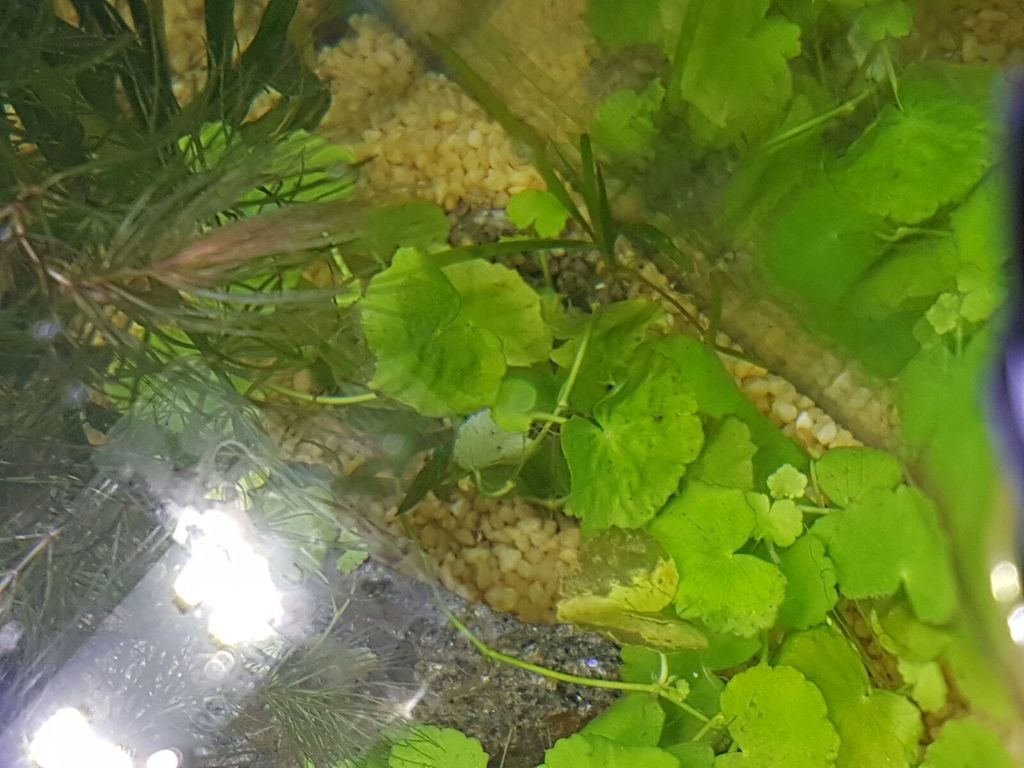 WhatsApp Image 2016-09-28 at 16.06.35 (4)