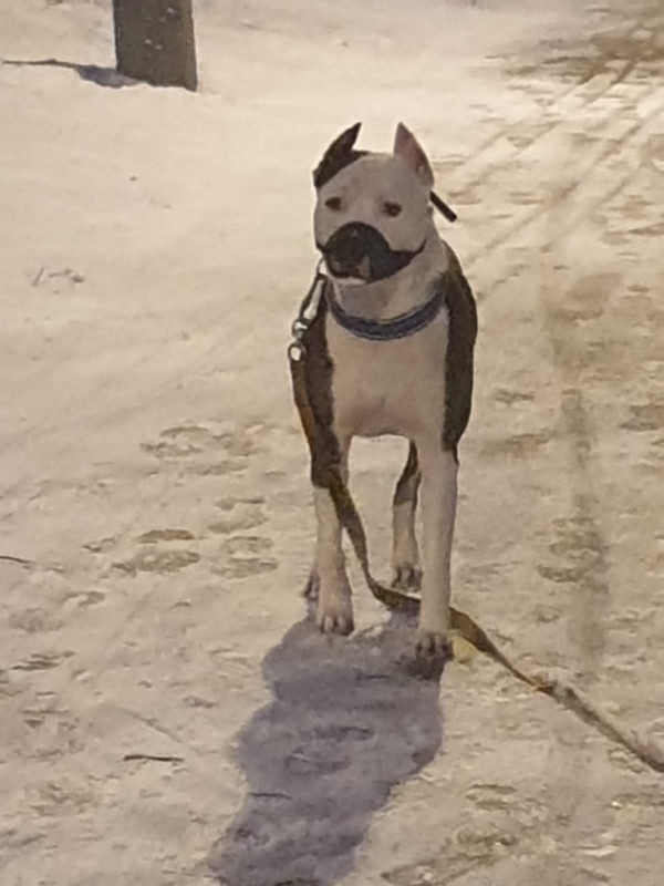 0DD87562-81A7-47A4-9028-F2B77A19143E