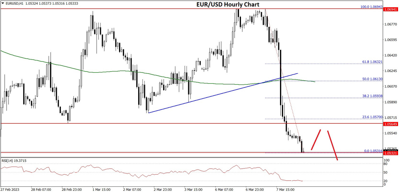 Daily Market Analysis By FXOpen in Fundamental_eurx