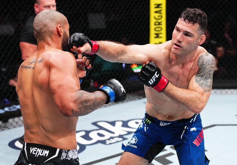 Крис Уайдман срещу Ерик Андерс на UFC 309