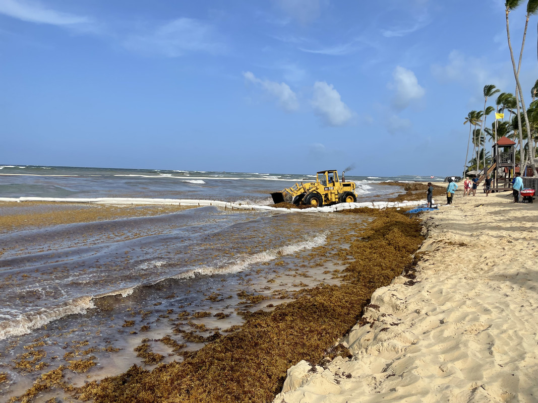 D67BF8E5-FDD3-486B-81BD-25ED70C6CDBA