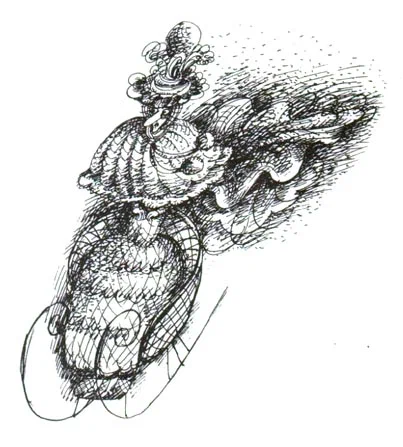 41