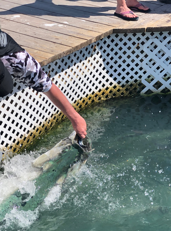 EA196F61-586C-4B7A-99AA-B346DD07A607