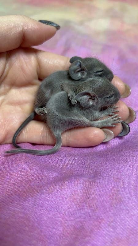 3666B658-6A07-499A-A50C-3A11EB875B3F