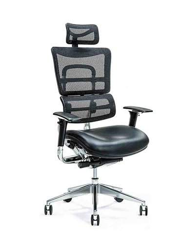 Ergo800